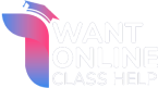 I Want Online Class Help